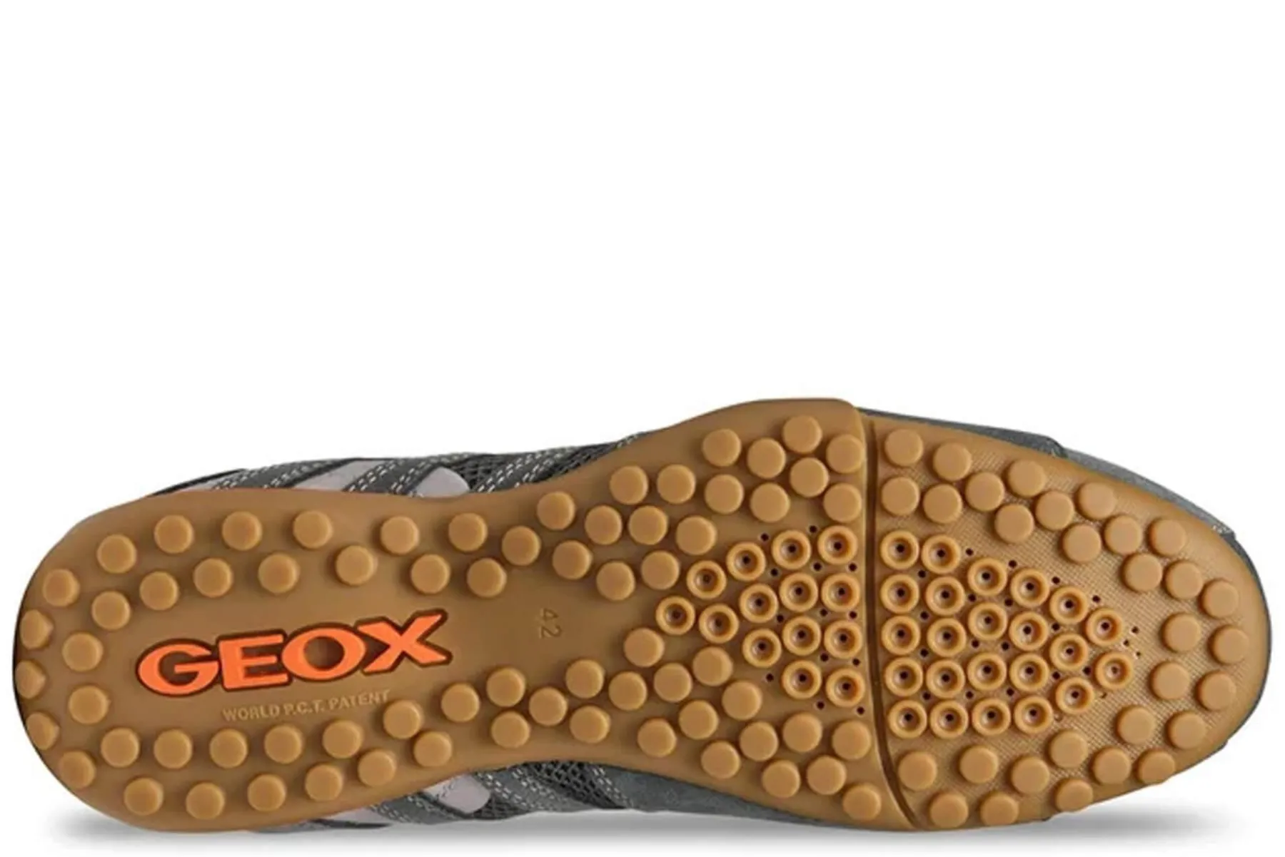 Zapatillas U SNAKE ORIGINAL | Geox Outlet